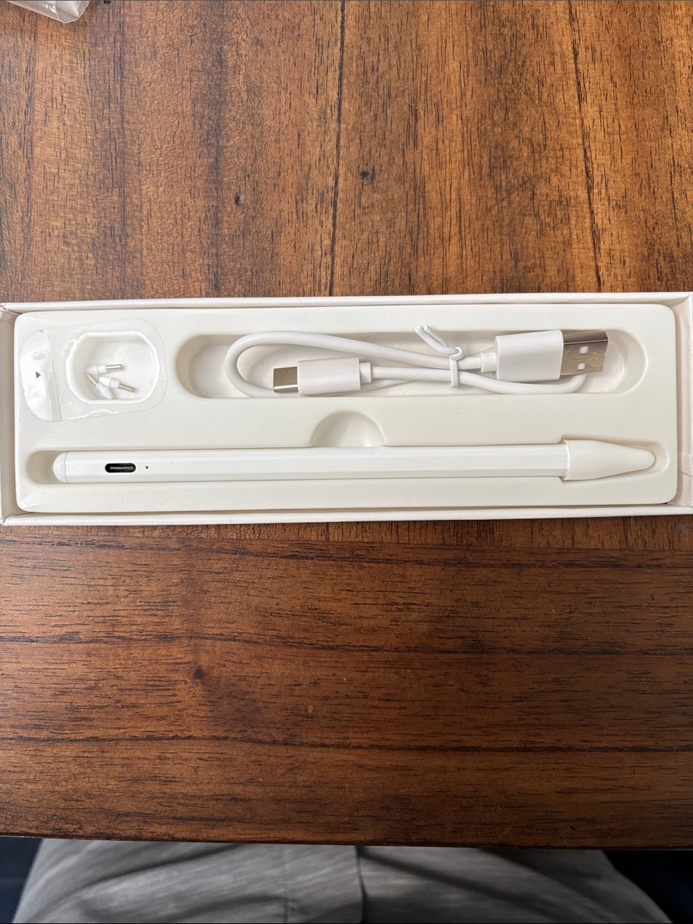 iPad Pen